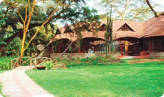 Lodge Safari