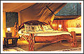 Tented Safari Camps
