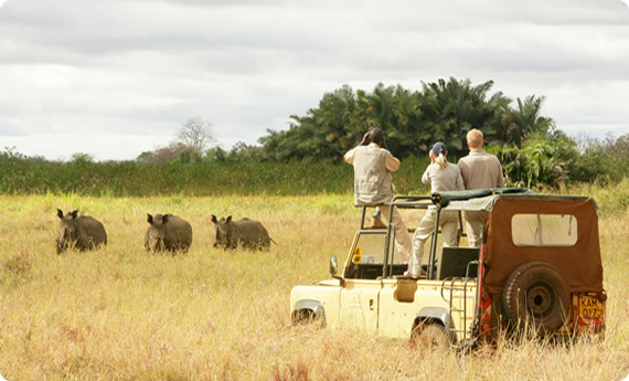 Welcome to East Africa with Annabell Safaris